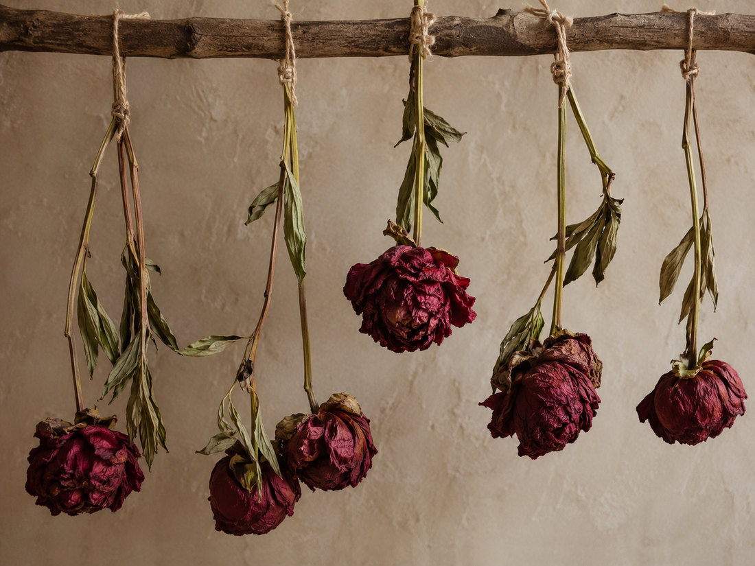 Flowers That Stay: The Sustainable Charm of Dried Floral Creations