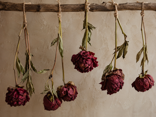 Flowers That Stay: The Sustainable Charm of Dried Floral Creations